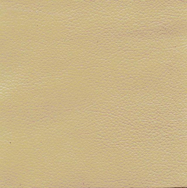 chamomile Townsend® Chamomile Seed CL-12024